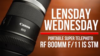 Canon RF 800mm f11 is STM Lens Review  Wildlife Photography [upl. by Quiteria]