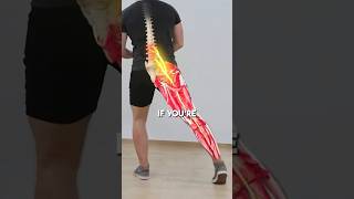 Sciatica Rehab In 3 Steps nervepain spinemobility legnerve motivation backpainnomore shorts [upl. by Halyak273]