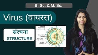 Virus वायरस  वायरस की संरचना STRUCTURE OF VIRUS  B Sc amp M Sc  हिंदी में [upl. by Nytsrik]