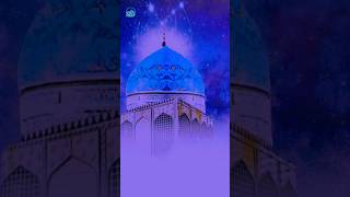 Bagdad Qawwali New 2024 kavvali shortvideo youtubeshorts youtubevideos [upl. by Ehttam]