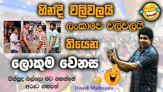 පිස්සුද බල්ලො මට ගහන්නෙ 🤣 අරූට ගහපන් 😂  Dinesh Muthugala  dineshmuthugala muthugalasir [upl. by Ssalguod]