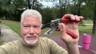 Hand Drill Harvesting Roadside Horseweed Leaves Fire Roll [upl. by Carmelita]