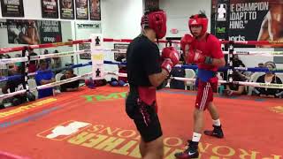 Ryan Garcia vs Rolando Romero sparring highlights [upl. by Yeldahc]