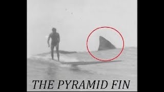 The Pyramid Fin [upl. by Nilyahs]