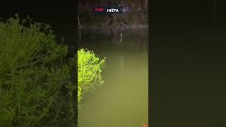 рибалкаfishingcarpfishingcarpbassfishing [upl. by Cyprio]