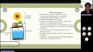 quotPhytoremediationquot STEM Quimica [upl. by Shimberg792]