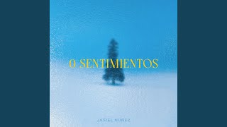 0 Sentimientos [upl. by Komsa]