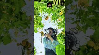 ❤️photography hack amp tricks❤️shorts shortvideo shortsfeed viralvideo trending photography yt [upl. by Aima606]