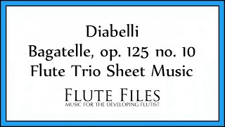 Diabelli  Bagatelle op 125 no 10  Flute Trio [upl. by Ellesirg221]