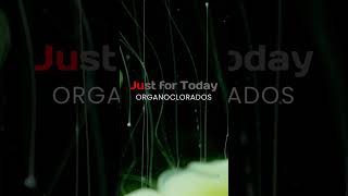 Just for Today em 071124 rock justfortoday musica organoclorados music release song [upl. by Elleinad]