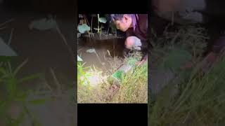 Unexpected Find Turns Night Hike into a Thriller fishingfrog survival [upl. by Ebbie]