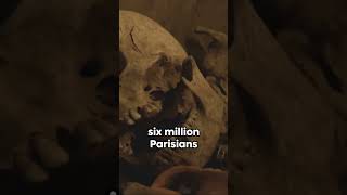 Unveiling the Paris Catacombs Discover the Chilling Depths [upl. by Orit470]