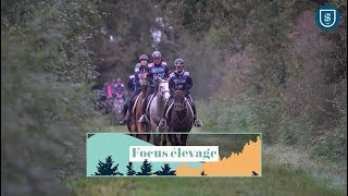 Grande Semaine Endurance 2024  J2 Focus [upl. by Annaliese]