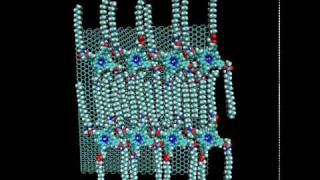 selfassembly of porphyrins on graphite surface [upl. by Kolk]