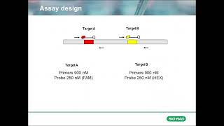 Foundational Concepts Copy Number Variation in Digital PCR Part 1 [upl. by Marguerie]