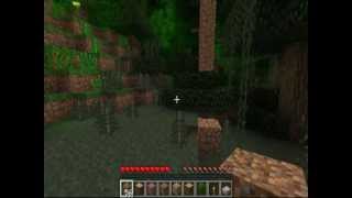 tuto minecraft les lianes [upl. by Eirolav526]