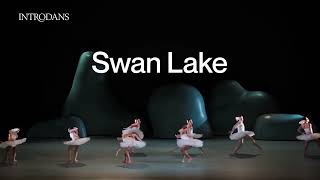 Introdans  Familievoorstelling Swan Lake  za 17 feb  Schouwburg Amstelveen [upl. by Anelec707]