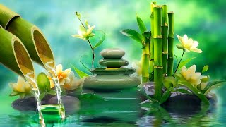 Beautiful Relaxing Music 🌿 Water Sounds Deep Sleeping Music Meditation Music Relaxing Piano [upl. by Haggar]