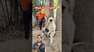 bajrangbali ki Jai 🔥 Jai shree ram ji ki Jai 🙏bajrangbali monkey hindumantra hanuman viral [upl. by Doig826]