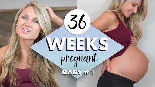 36 WEEKS PREGNANT  ECV Procedure amp Should we do it [upl. by Ayotaj777]