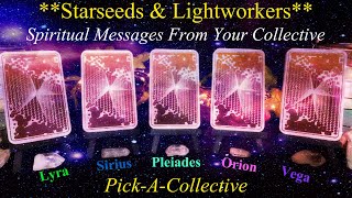 Starseeds amp Lightworkers  Messages From Your Collective  Pick A Collective [upl. by Buyse]