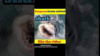 amazing facts world dangerous ocean animals✅ short [upl. by Einnaffit659]