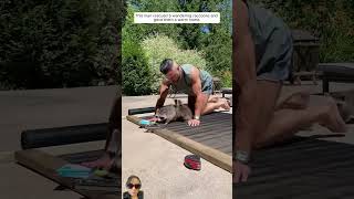 This man rescued 5 wandering raccoons and gave them home shorts geniusglowgalaxy [upl. by Lowe]