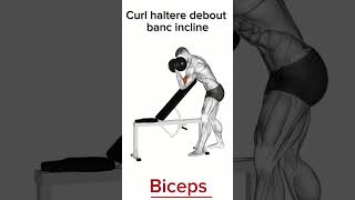 Meilleur exercice pour développe Biceps 🔥💯💪🏻 motivation sports workout gym bodybuilding [upl. by Mastic467]