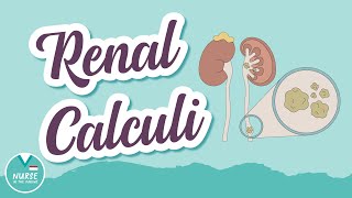 Renal Calculi AKA quotKidney Stonesquot  MedSurg Help for Nursing Students [upl. by Einneb]