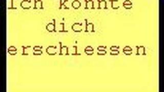 Liza Li  Ich könnte dich erschiessen [upl. by Navonoj]