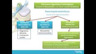 FARMACOS AGONISTAS COLINERGICOS [upl. by Hcib]