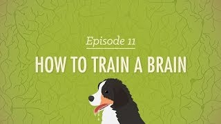 How to Train a Brain Crash Course Psychology 11 [upl. by Rani]