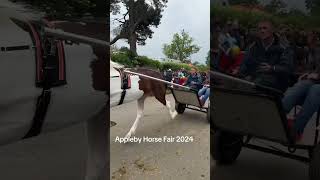 Appleby Horse Fair 2024 [upl. by Verile]