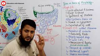 Endoplasmic reticulum  Endoplasmic reticulum structure and function  class 11 [upl. by Ney]