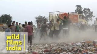 People raise dust as they dance after Durga idol immersion in Yamuna River [upl. by Delwyn]