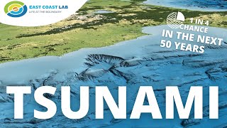 The Hikurangi Subduction Zone  Scientists explain their work on NZs largest fault [upl. by Elon]