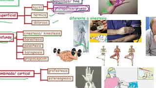 CINESTESIA  KINESTESIA [upl. by Elspeth823]