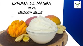 COMO FAZER ESPUMA DE MANGA PARA MOSCOW MULE [upl. by Fortier]