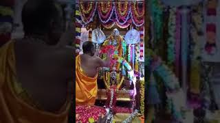 Mantralaya shri raghavendra swamy  pushparchane shorts shrigurubhaktichannel [upl. by Esilanna]