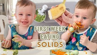 First Week of Our Baby Led Weaning Journey  Babys First Food and Starting Solids [upl. by Mundt49]