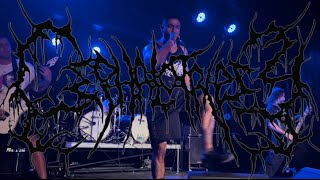 Cephalotripsy  Full Set Live in Las Vegas NV 10072022 Monsters of Brutality Fest [upl. by Weathers]