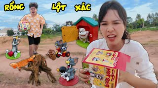 Bạn Rồng Đỏ Đã Lớn Biết Lột Xác và Bộ mô hình mèo đuổi chuột Tom và Jerry tuổi thơ [upl. by Ayotahs]