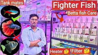 Fighter fish  Betta fish care Tankmates Tank size Heater Filter  Pari Aquarium Kurla market [upl. by Ajoop]