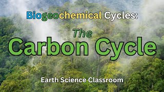 Detailing The Carbon Cycle [upl. by Heid]