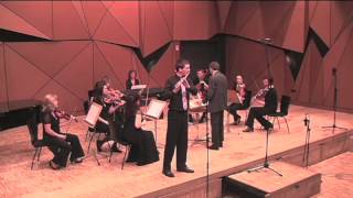 MHaydn Dmajor Flute Concerto III [upl. by Adal]