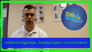 Anatomia Kręgosłupa  Budowa krążka  inne schorzenia 7 FizjoTerapia HD [upl. by Nniw142]