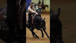 2024 NRBC Reining Horses Open Finals Qualifiers horse equestrian yellowstone reining [upl. by Lubin83]