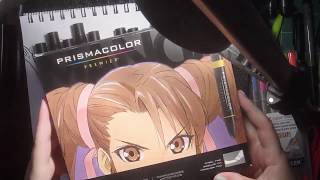 prismacolor marker review manga set [upl. by Regina]