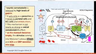 ZollingerEllison syndrome  Vitamin B12 Absorption  Basics of Inflammation  Gastrin regulation… [upl. by Icyak757]