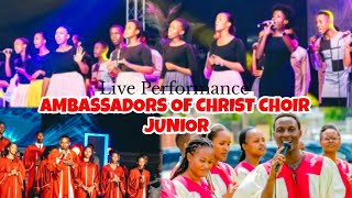 Ambassadors of Christ Choir Junior  Indirimbo nziza cyane Live concert 2024 [upl. by Yssenhguahs]